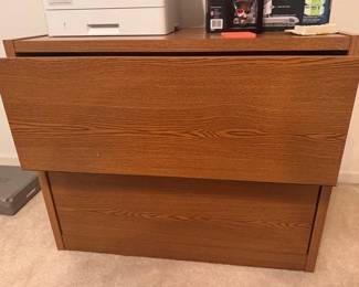 2 drawer lateral file cabinet