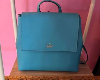 Kate Spade backpack or handbag