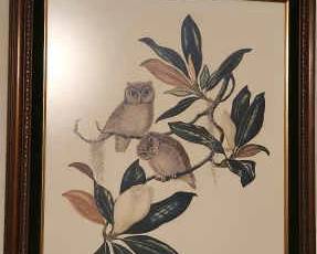 Screech Owlets With Magnolia by Anne Worsham Richardson