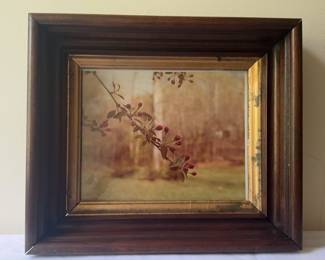 Beautiful, Framed Photograph