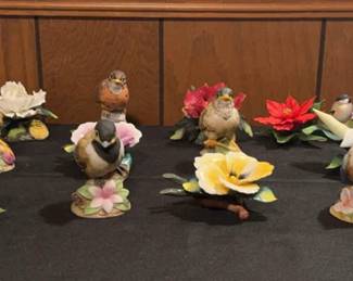 Andrea By Sadek Bird Collection