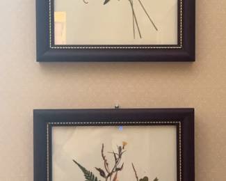Dried Flowers, Framed