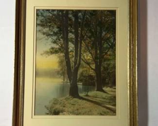 Framed Trees By A Lake Colored Photo
