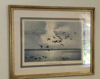 Broadbills Coming in to Raft by Peter Scott
