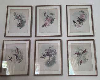 Framed Set Of 6 Hummingbird Plates by Gould Richter