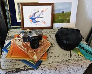 Vintage Cameras, art, storage ottoman