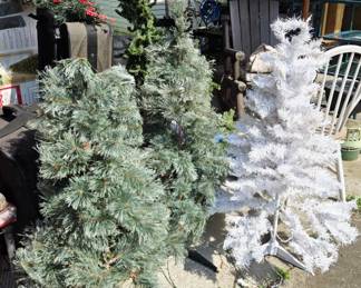 Christmas Trees