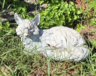Concrete Fox