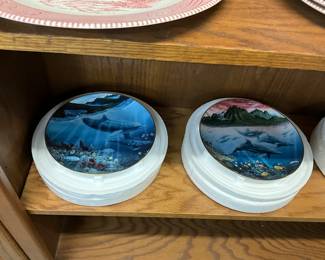 Collector Plates