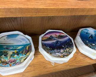 Collector Plates
