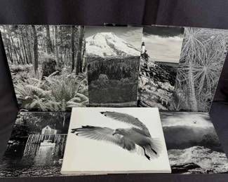 Paul G Kovak B/W Photographs 8 X 10 * East , West Coast * Mountains and Coast