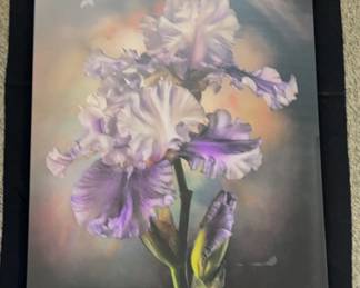 J. Scott Peck Iris * 41”x30” * Photograph of Iris On Metal