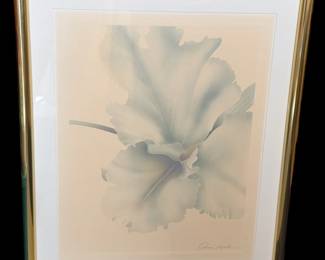 Vintage ‘Oscar Teheda’ Framed Print Of Flowers