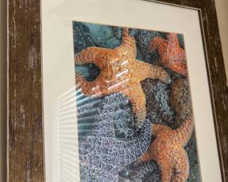 Framed & Matted Starfish Photography Print