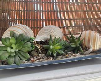 Faux Succulents