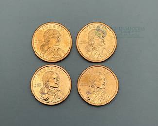 2009 Sacagawea Dollar Coins