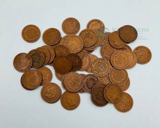 Indian Head Cents