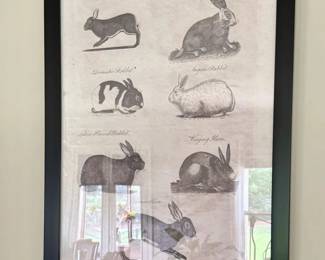 Birch Lane Rabbit Studt Framed Print $150