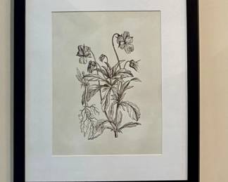 Birch Lane Line Art Flower Print $100
