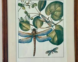 Framed Dragonfly Print $125