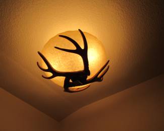 Antler Ceiling Light Fixture