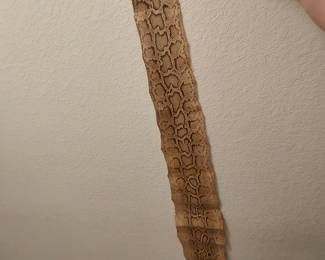 Snake Skin