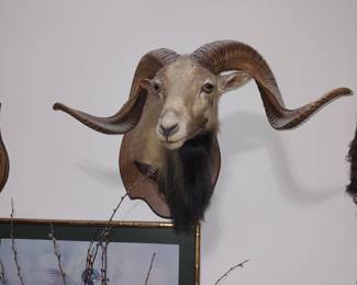 Mounted Ram