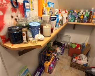 Closet filled with cleaning supplies, detergents, disinfectants and household chemicals