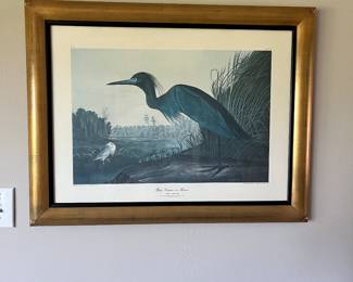 Engraving of Heron. 