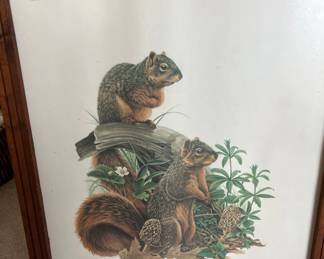 Signed large squirrel print