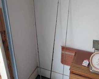 Zebco 33 fishing poles