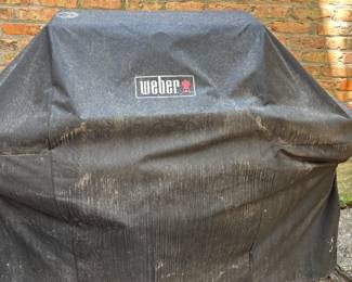 Weber Grill