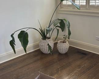 Fake indoor decorative plants