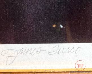 "Idioms I" by JAMES TURCO