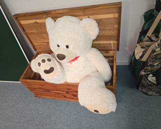 Big Bear, Small Trunk