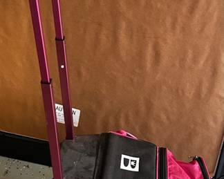 Bowling Bag