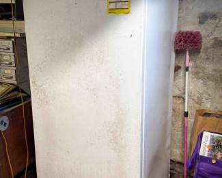 Kelvinator Freezer