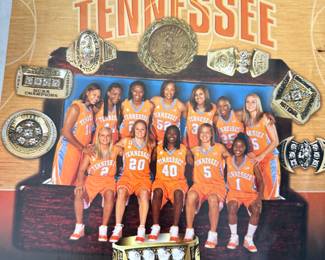 2008-09 Lady Vols
