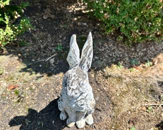 bunny