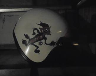 Wiley helmet