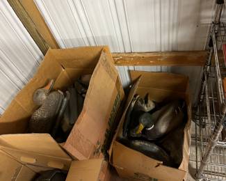 Duck/Goose decoys