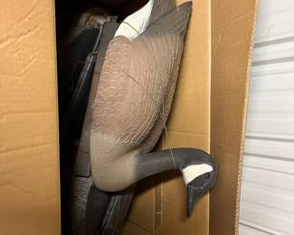 Duck/Goose decoys