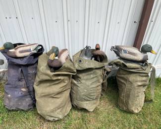 Duck/Goose decoys