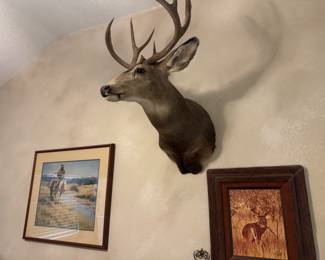 Mule Deer Head Mount 