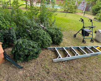 Christmas Trees