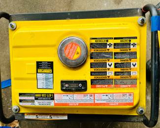 Champion Multi Purpose 1500 Starting Watt Generator 