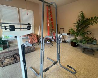 WERNER LADDER EXERCISE - RUGS HOME DECOR - LETS MAKE IT GONE THIS SUNDAY OR BEFORE