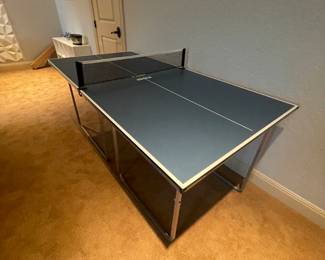 SMALLER SIZE PING PONG - ALSO YOU CAN BUY THIS NOW