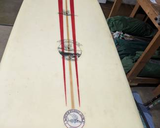 Waterman's Guild - Pelican - Surfboard