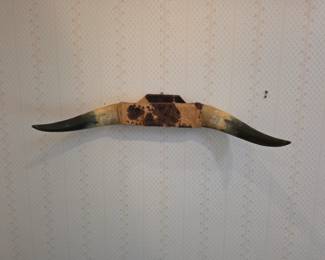 Steer horn mount.